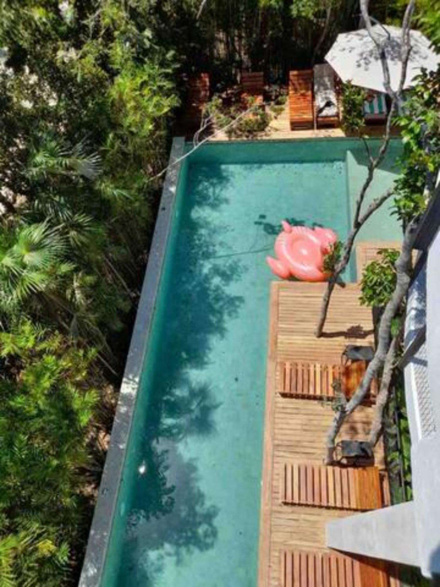 Spectacular Jungle In Th 33 Terrace Gym Private Pool Villa Tulum
