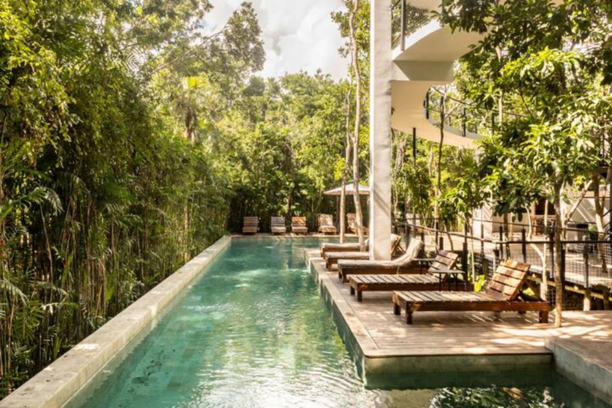 Spectacular Jungle In Th 33 Terrace Gym Private Pool Villa Tulum
